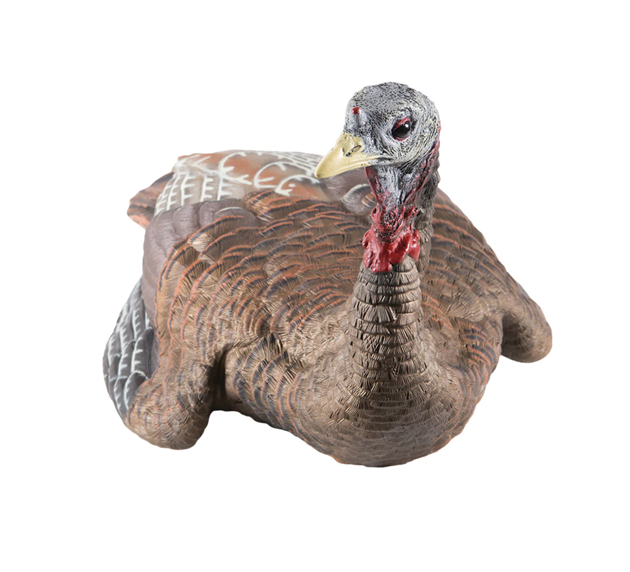 Appelant dindon LCD femelle Laydown Hen - Avian X – Image 3